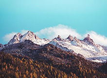 九游会官网-马德兴：鲁能夺冠，一个完美的句号！